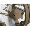 Image 3 : LOT OF LEG HOLD ANIMAL TRAPS
