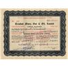 Image 1 : STOCK SHARES (TRINIDAD MINES, GAS & OIL LTD.) *1902*