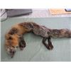 Image 1 : LADIES STOLE (RED FOX FUR)