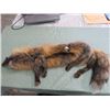 Image 2 : LADIES STOLE (RED FOX FUR)