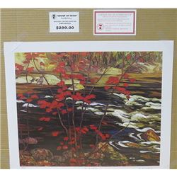 LIMITED EDITION PRINT  (THE RED MAPLE, BY AY JACKSON)  *20 INCHES TALL BY 24 INCHES WIDE*