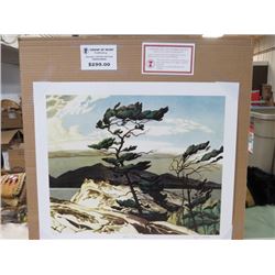 LIMITED EDITION PRINT (WHITE PINE,  BY A.J CASSON) *20 INCHES TALL BY 24 INCHES WIDE*