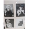 Image 4 : MARILYN MONROE PICTURES REPRO 20" X 30" AND 10" X 12"