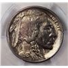 Image 2 : 1913-S T-1 BUFFALO NICKEL