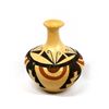 Image 1 : Hopi Polychrome Pottery Vase by