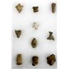 Image 1 : 10 PreColumbian Pottery Throws, Mostly Heads