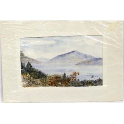 1986 Original Watercolor Painting by Carleton