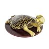 Image 7 : Dr. Seuss "Turtle-Necked Sea-Turtle" Sculpture.