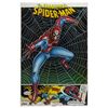 Image 1 : "Spider-Man" Thought Factory Poster.