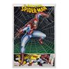 Image 1 : "Spider-Man" Original Poster Painting.
