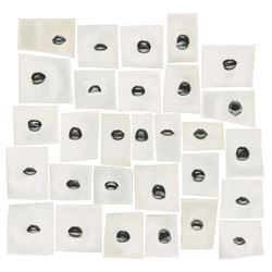 Set of (29) "Rocky Horror" Mouth Shapes.