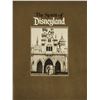 Image 1 : "The Spirit of Disneyland" 30th Anniversary Book.