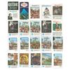 Image 1 : Collection of (20) INA Disneyland Guides.
