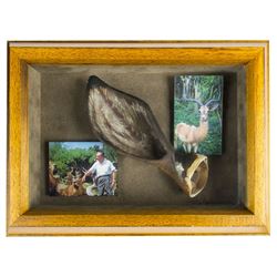 "Jungle Cruise" Prop Impala Ear Display.