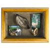Image 1 : "Jungle Cruise" Prop Impala Ear Display.