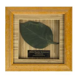 "Swiss Family Treehouse" Leaf Prop.