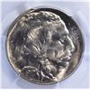Image 2 : 1913 TYPE-1 BUFFALO NICKEL, PCGS MS-67+
