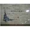 Image 2 : MARYLAND DIPLOMA