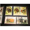 Image 5 : THANKSGIVING POSTCARDS