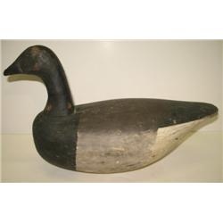VIRGINIA BRANT DECOY