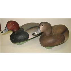 CRISFIELD, MARYLAND DECOYS