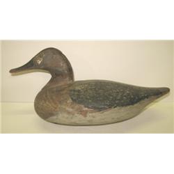 MARYLAND DECOY
