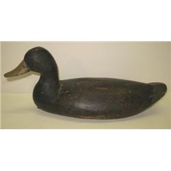 CRISFIELD, MARYLAND DECOY