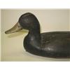 Image 4 : CRISFIELD, MARYLAND DECOY