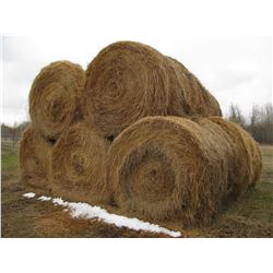 ROUND HAY BALES (X10)
