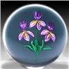 Image 1 : 147: Ken Rosenfeld 2000 Purple Iris Mini Paperweight