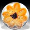 Image 1 : 182: Duam Crystal Low-Domed Amber Flower Paperweight