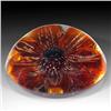 Image 2 : 182: Duam Crystal Low-Domed Amber Flower Paperweight