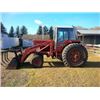 Image 6 : 1981 IH 1486 - 2WD Tractor