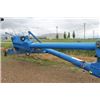 Image 1 : Brandt 10" x 60' Swing Away Auger