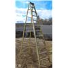 Image 1 : 12 FOOT EAGLE FIBERGLASS STEP LADDER