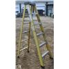 Image 1 : 6 FOOT GREEN BULL FIBERGLASS STEP LADDER