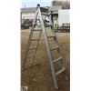 Image 1 : 6 FOOT GLAM ALUMINUM STEP/EXTENSION LADDER