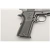 Image 2 : 19GT-44 STAR #B91043