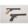 Image 8 : 19EU-28 PELLET GUN LOT