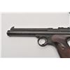 Image 2 : 19EU-30 PELLET GUN LOT