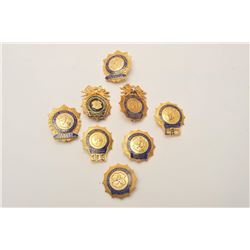 18DC-9 8 NEW YORK BADGES
