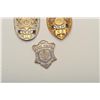 Image 2 : 18DC-91M BADGES