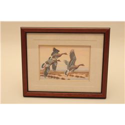 19SAV-521 DUCK PRINT