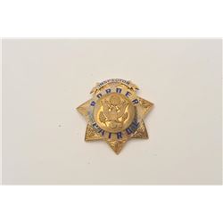 18DC-151 INSP. BADGE