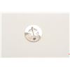 Image 2 : 18DC-156 RANGER BADGE