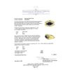Image 5 : 1.8 ctw Diamond And Blue Sapphire Ring - 18KT Yellow And White Gold