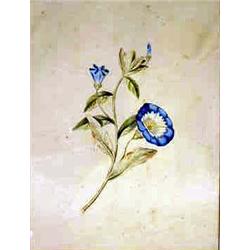 A GROUP OF ASSORTED BIRD AND FLORAL PRINTS