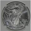 Image 2 : 2015 AMERICAN SILVER EAGLE NGC MS 69