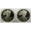 Image 1 : 1986 & 1991 PROOF AM SILVER EAGLES