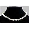 Image 1 : Fresh Water Pearl Necklace